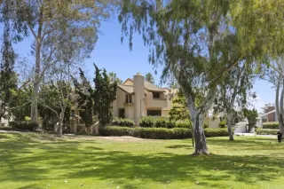 Photo #1: NDP2406544 Listing 