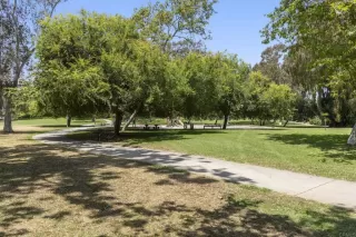 Photo #2: NDP2406544 Listing 