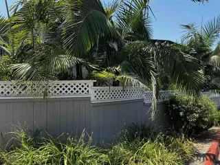 Photo #1: NDP2406552 Listing