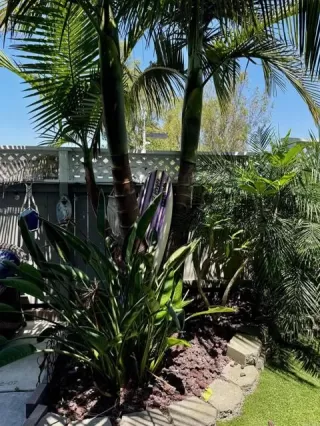 Photo #3: NDP2406552 Listing