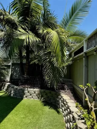 Photo #5: NDP2406552 Listing