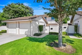 Photo #1: NDP2406631 Listing