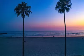 Photo #2: NDP2406663 Listing 