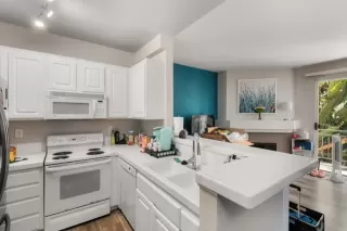 Photo #5: NDP2406885 Listing