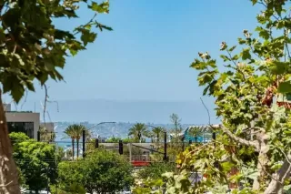 Photo #1: NDP2407328 Listing 