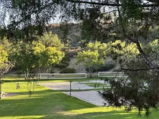 Photo #4: NDP2407465 Listing