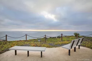 Photo #1: NDP2407488 Listing 