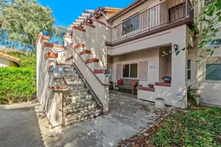Photo #1: NDP2407529 Listing