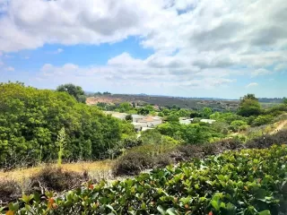 Photo #1: NDP2408467 Listing