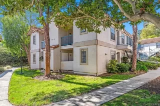 Photo #1: NDP2408497 Listing