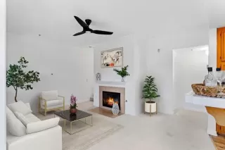 Photo #1: NDP2408686 Listing 