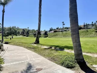 Photo #1: NDP2408790 Listing