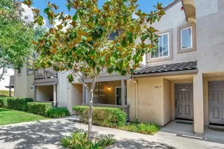 Photo #1: NDP2408940 Listing