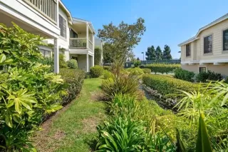 Photo #1: NDP2408969 Listing