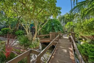 Photo #1: NDP2409124 Listing 