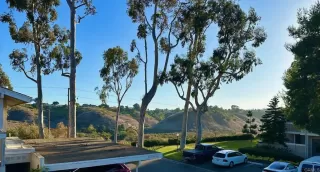 Photo #1: NDP2409296 Listing