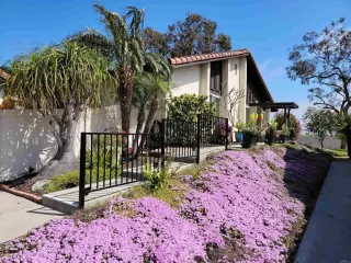 Photo #2: NDP2409298 Listing 