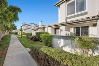 Photo #3: NDP2409668 Listing