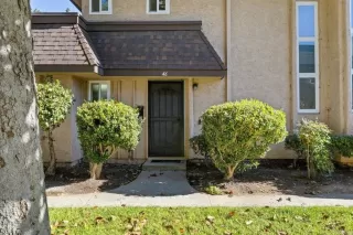 Photo #1: NDP2409866 Listing