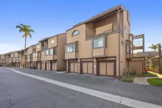 Photo #1: NDP2409884 Listing