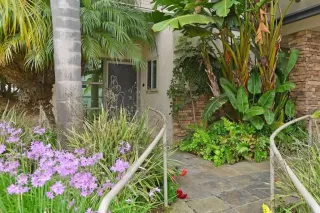 Photo #1: NDP2410356 Listing 