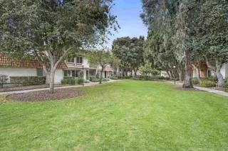 Photo #1: NDP2410484 Listing 