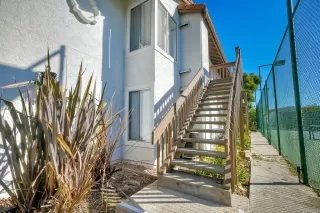 Photo #5: NDP2410517 Listing 