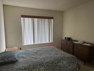 Photo #3: NDP2410577 Listing