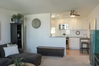 Photo #1: NDP2410750 Listing