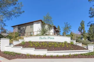 Photo #1: NDP2500207 Listing