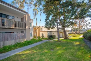 Photo #4: NDP2500250 Listing 