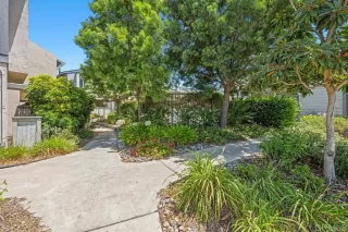 Photo #2: NDP2500380 Listing 