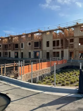 Photo #4: NDP2500396 Listing