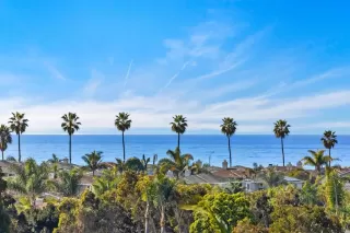 Photo #1: NDP2501065 Listing