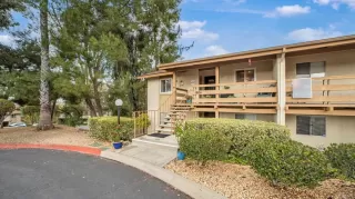 Photo #1: NDP2501403 Listing 