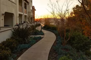 Photo #1: NDP2501871 Listing