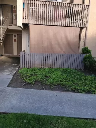 Photo #4: NDP2502314 Listing 