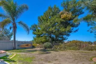 Photo #5: NDP2502326 Listing