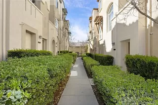 Photo #1: NDP2502452 Listing 