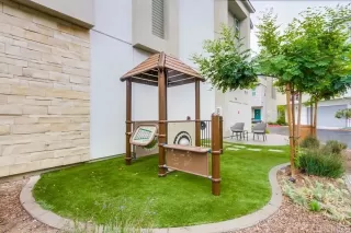 Photo #5: NDP2502541 Listing