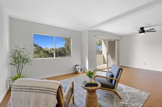 Photo #1: NDP2502588 Listing 