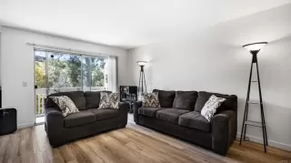 Photo #1: NDP2502679 Listing 