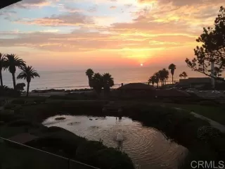 Photo #1: NDP2502723 Listing 