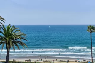 Photo #4: NDP2502847 Listing