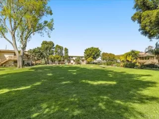 Photo #1: NDP2502918 Listing 