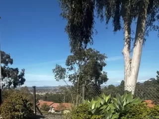 Photo #1: NDP2503055 Listing