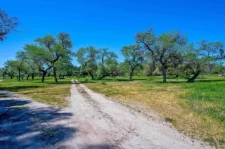 Photo #4: NDP2503498 Listing