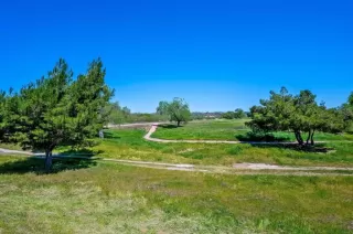 Photo #5: NDP2503498 Listing