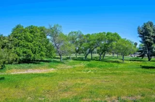 Photo #6: NDP2503498 Listing