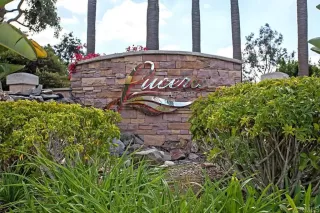 Photo #1: NDP2503554 Listing